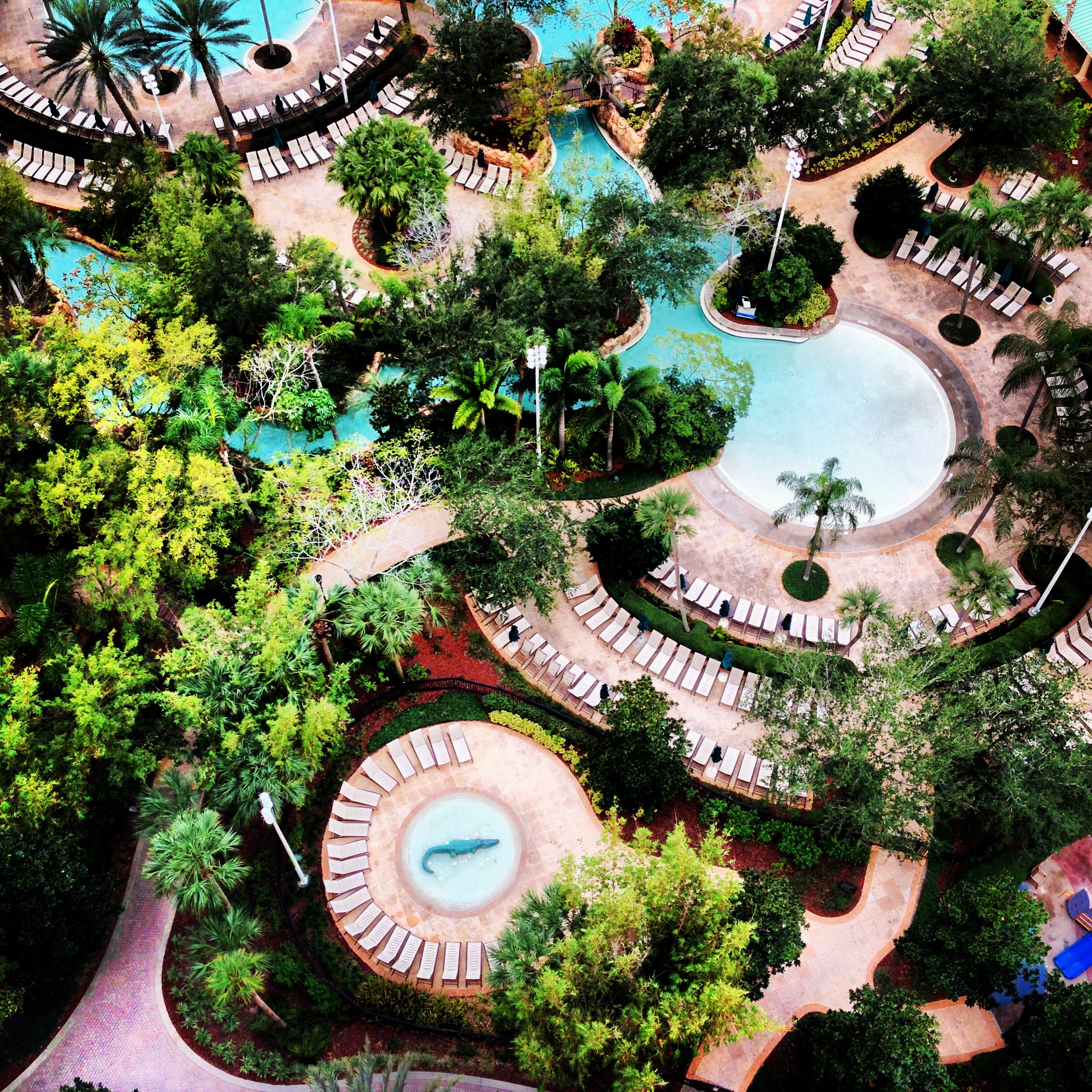 Orlando, FL | Small Lady Eats